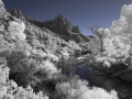 zion-national-park-utah-watchman-infrared-landscape-nature-photo
