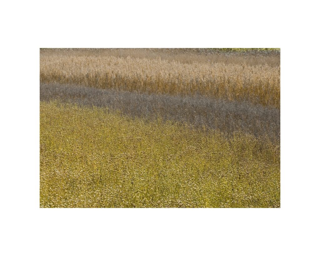 Britain-Cornwall-collection-abstract-landscape-photography