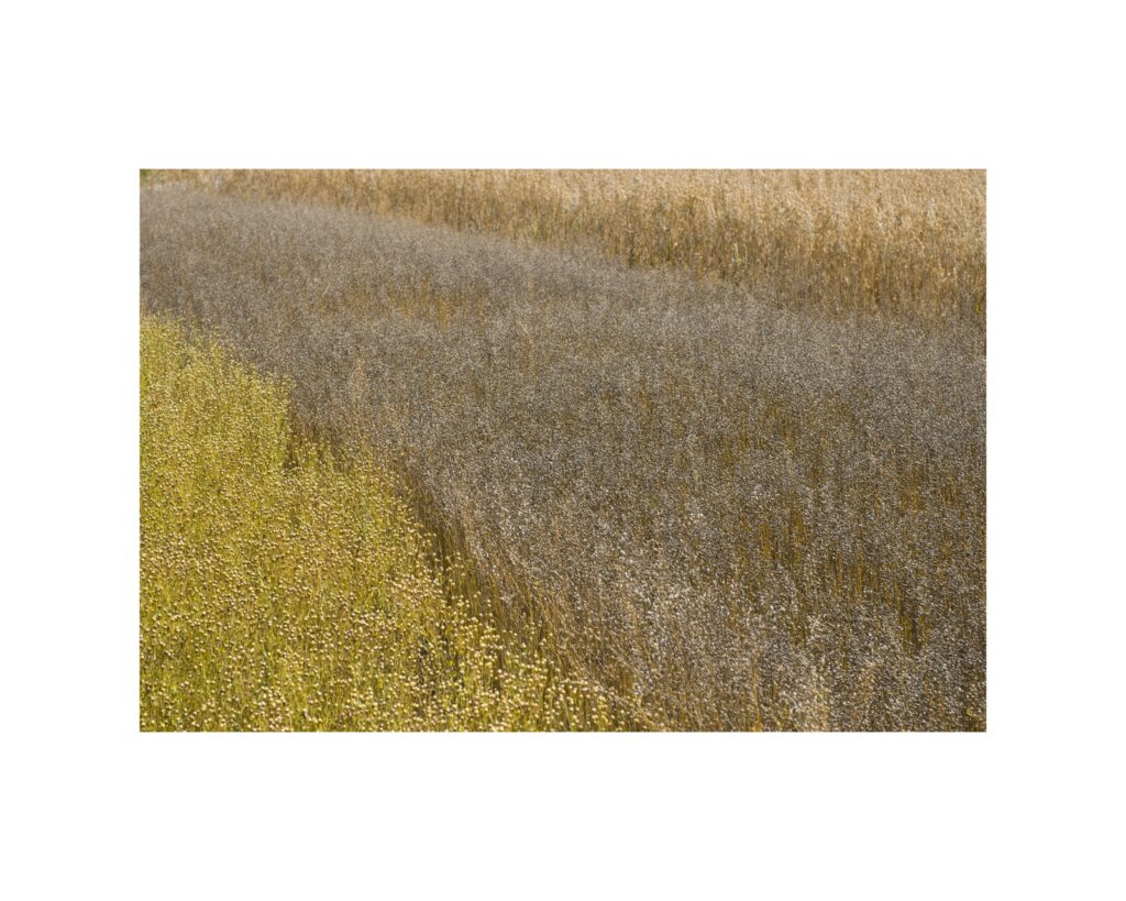 Britain-Cornwall-abstract-landscape-photography