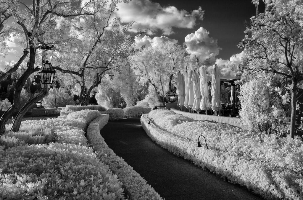 Infrared-photograph-Rancho-Bernardo-California