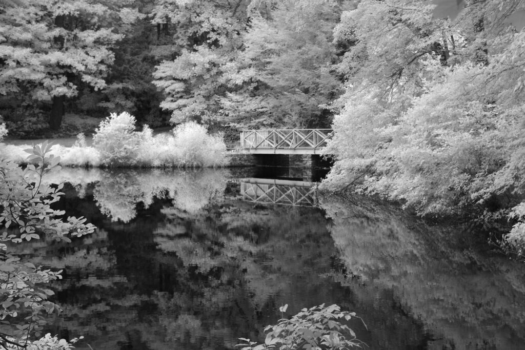 infrared-landscape-lke-pond-bridge-Carl-Sandberg-estate