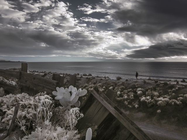 infrared-seascape-man-walking-coastal