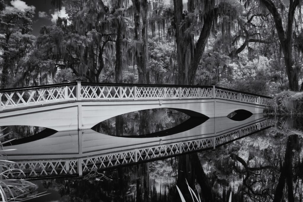 infrared-white-bridge-swamp-plantation