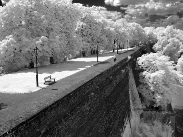 vysehrad-infrared-scenic-park-prague-web