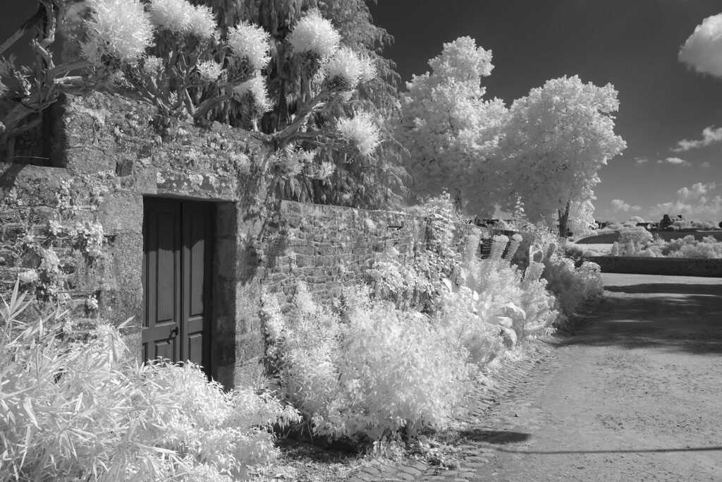 dinan-foliage-park-infrared-web