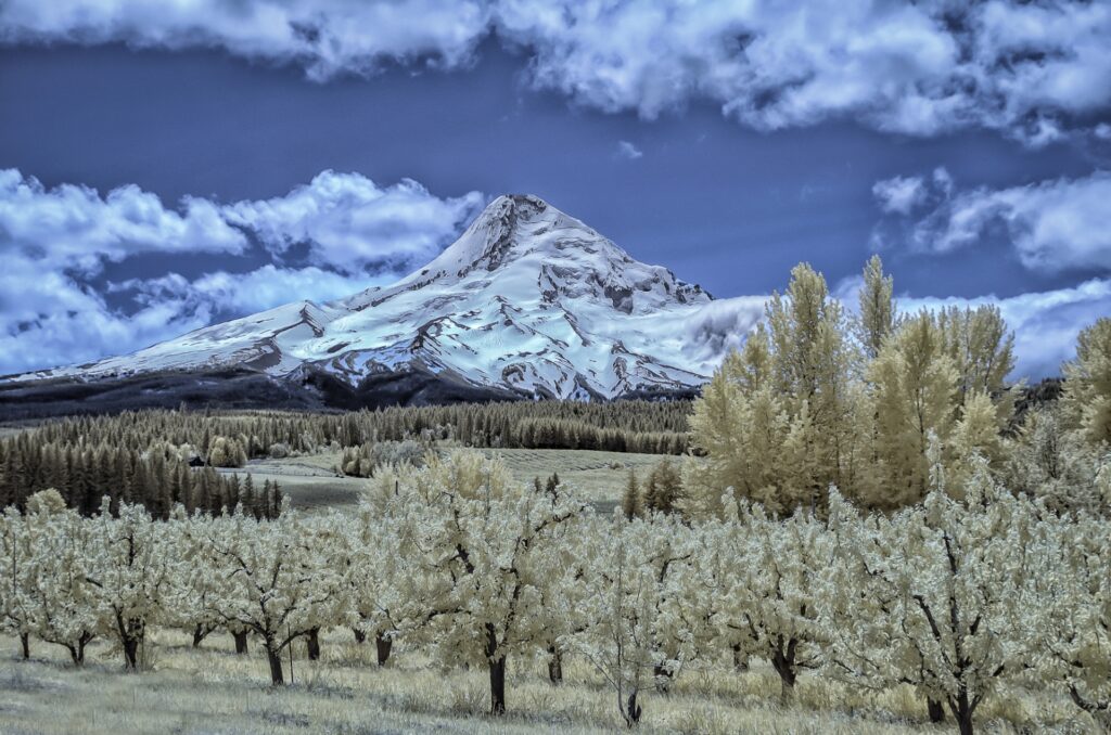 infrared-landscape-photo-mount-hood-scenic